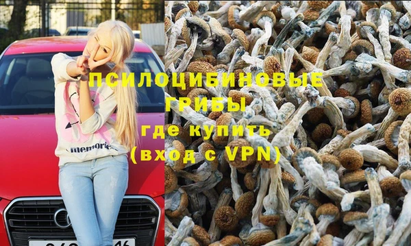 трава Баксан